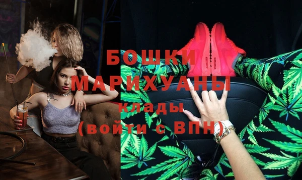 стафф Новозыбков